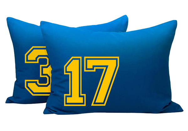 Panther Football Gift Package 2025