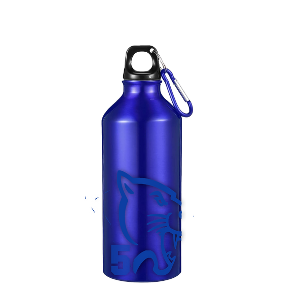 Panther Football Gift Package 2025